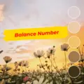 Balance Number